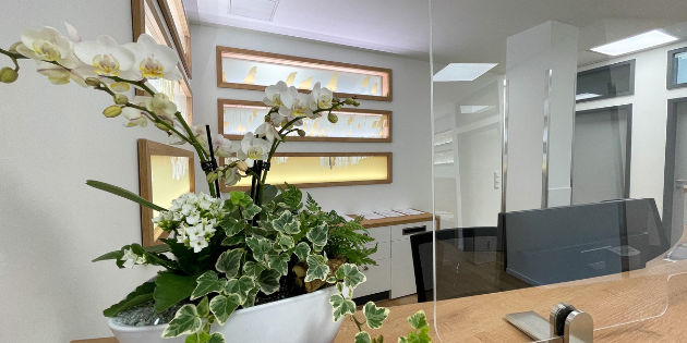 Praxis Empfangsbereich mit Blumenvase auf Tresen, COVID 19 Spuckschutz auf Thekenablage, beleuchtete Dekofenster mit Folienplott